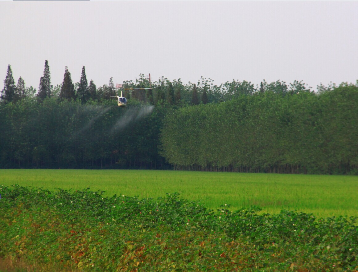 �r�I(y��)�w��